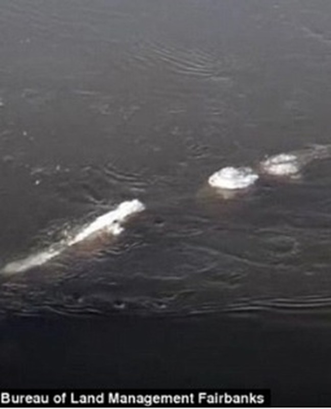 View - 	Nóng Quái vật hồ Loch Ness có anh em trú ngụ ở Alaska