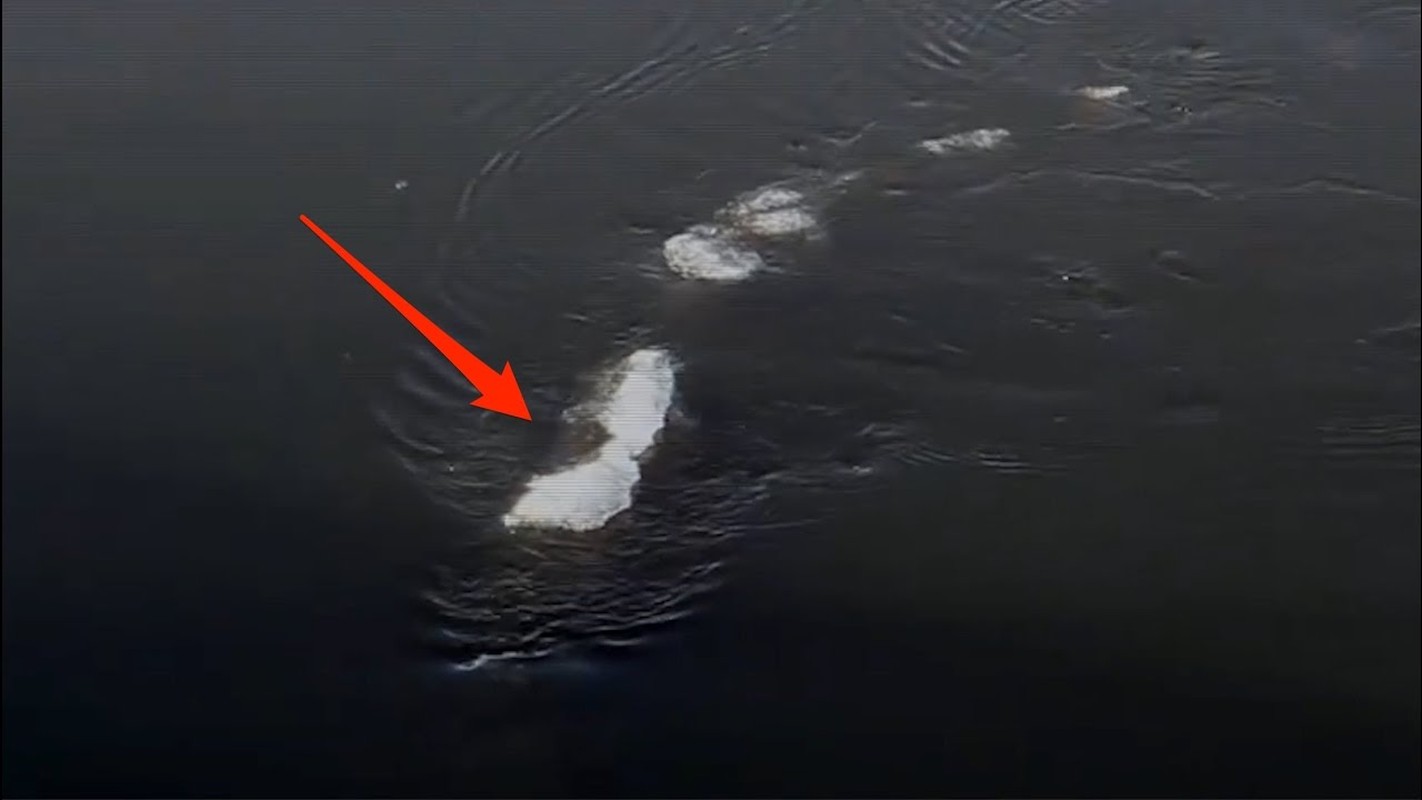 View - 	Nóng Quái vật hồ Loch Ness có anh em trú ngụ ở Alaska