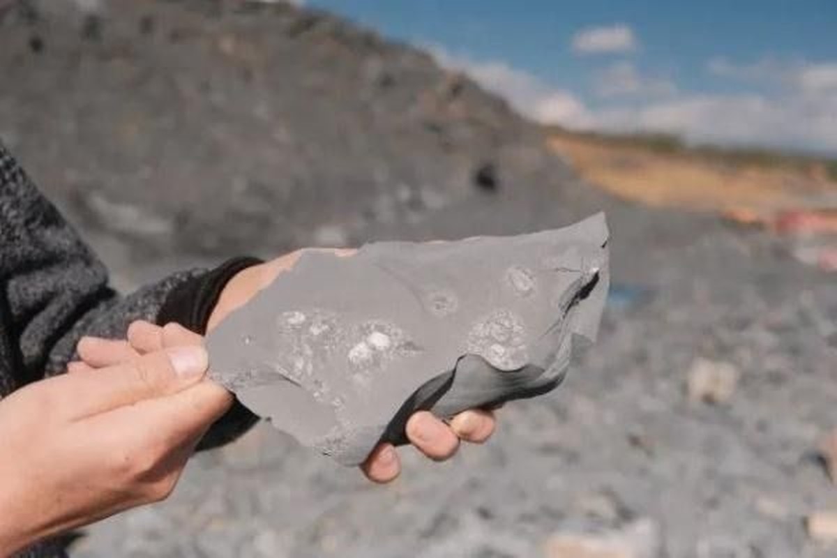 View - 	Phong tỏa công trường chuyên gia khai quật kho báu 500 triệu tuổi