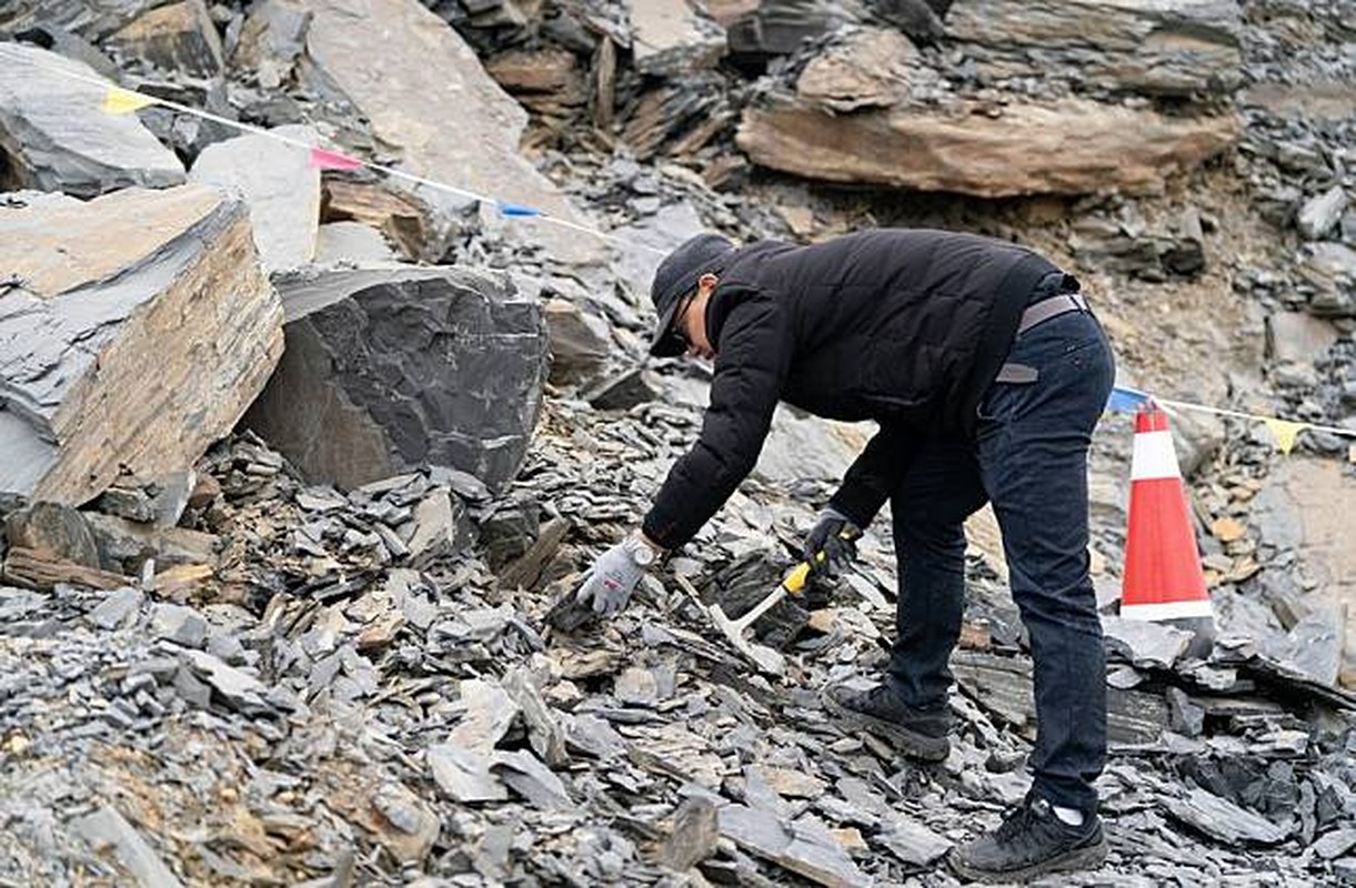 View - 	Phong tỏa công trường chuyên gia khai quật kho báu 500 triệu tuổi