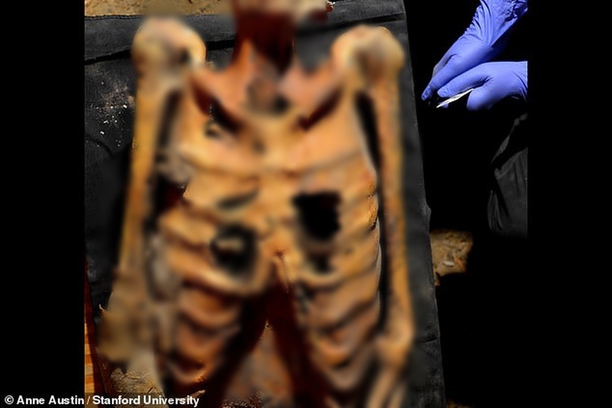 View - 	Giải mã hàng chục hình xăm độc trên xác ướp Ai Cập 3000 tuổi