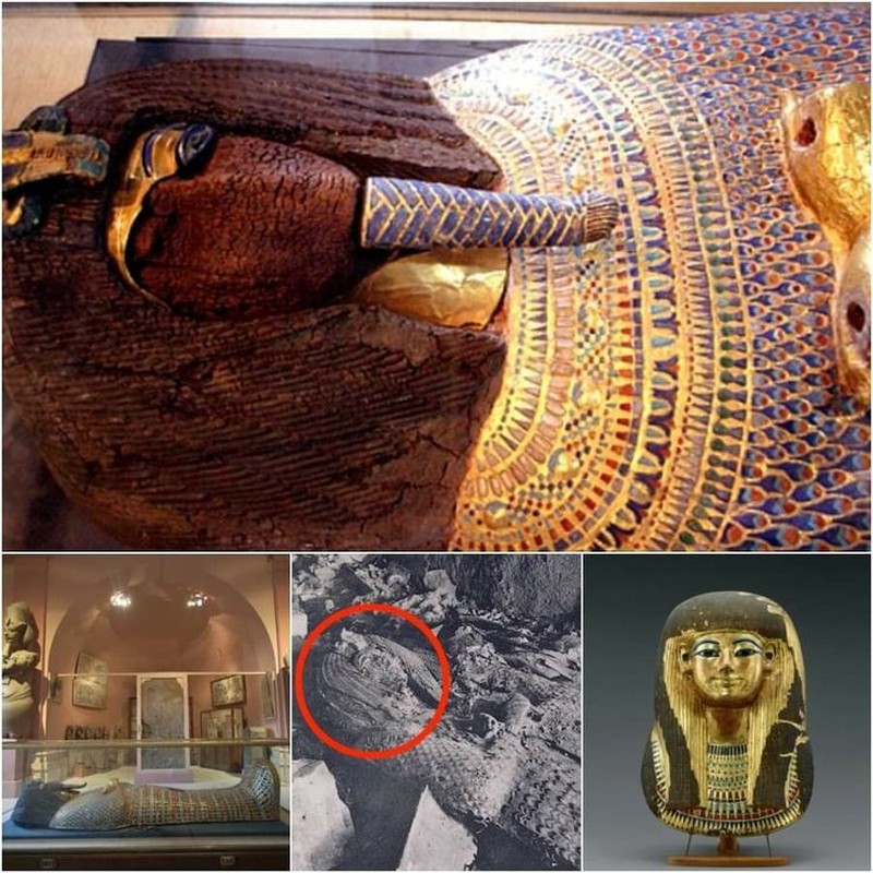 View - 	Bí ẩn lời nguyền trên xác ướp pharaoh bị căm ghét nhất Ai Cập