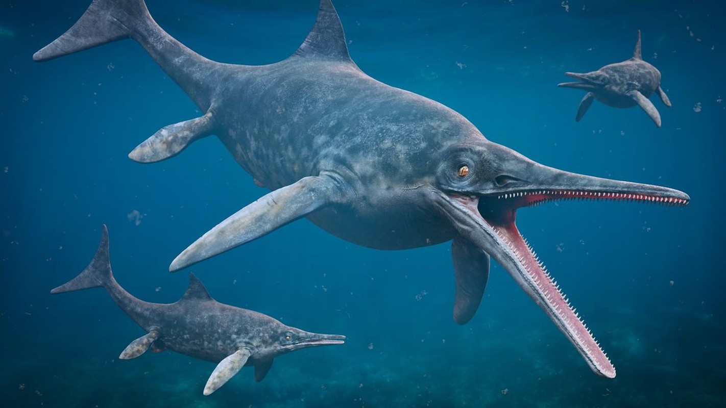 View - 	Bí ẩn loài “rồng biển” sống trên Trái đất hơn 200 triệu năm trước