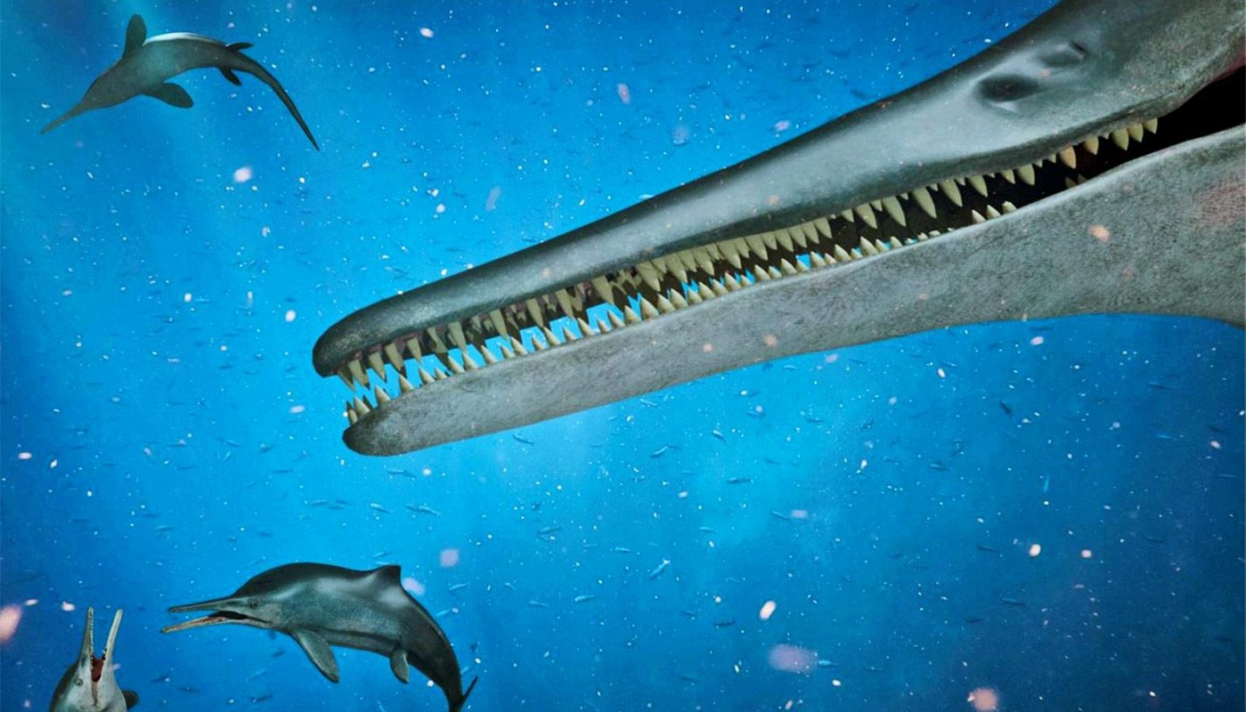 View - 	Bí ẩn loài “rồng biển” sống trên Trái đất hơn 200 triệu năm trước
