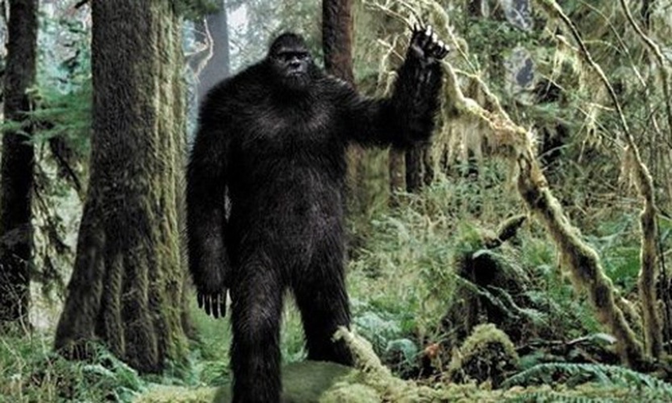 View - 	Quái vật Bigfoot có bàn chân 6 ngón chuyên gia gian nan giải mã