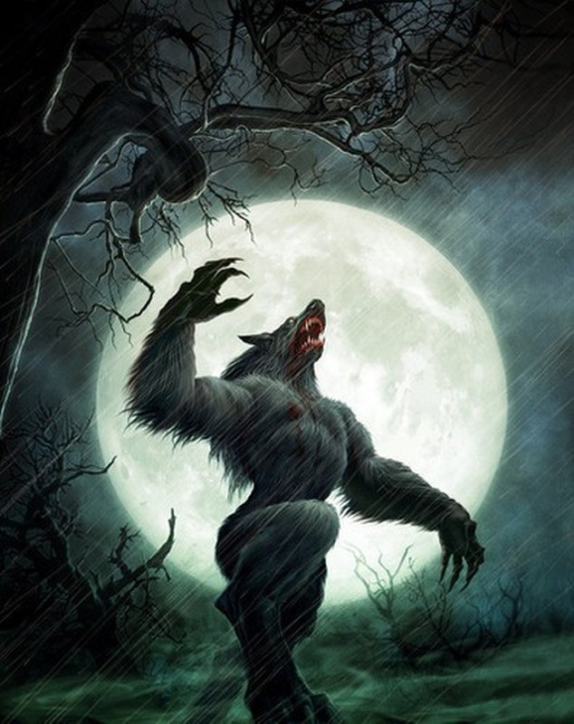 View - 	Bí ẩn truyền thuyết người hóa sói gieo rắc nỗi ám ảnh kinh hoàng