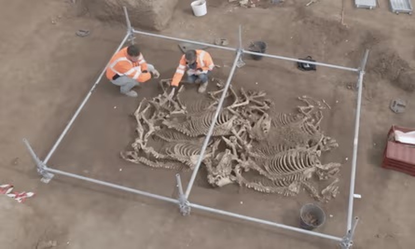 View - 	Khai quật hố chôn 2.000 tuổi hé lộ sự thật kinh hoàng