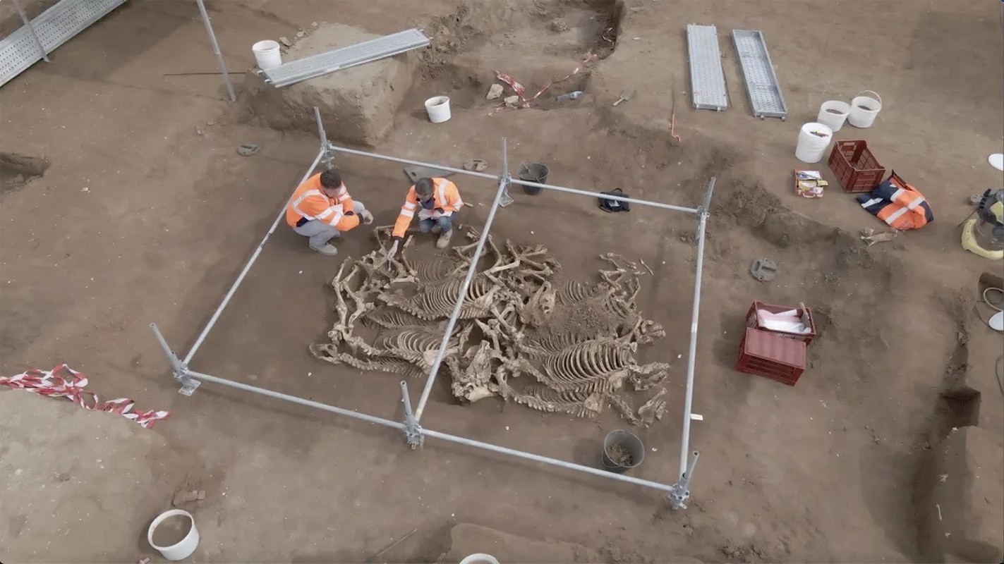 View - 	Khai quật hố chôn 2.000 tuổi hé lộ sự thật kinh hoàng