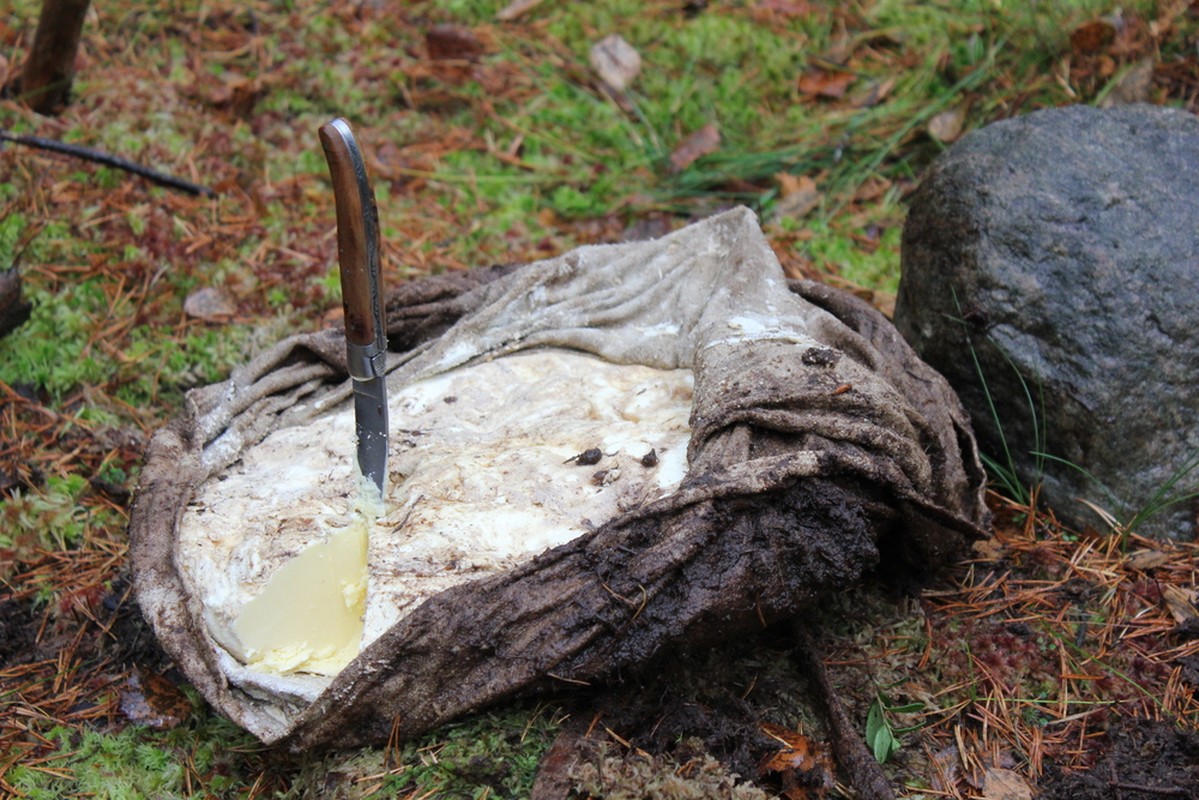 View - 	Vớt tảng bơ cổ 2000 năm dưới đầm lầy chuyên gia phán ăn tốt