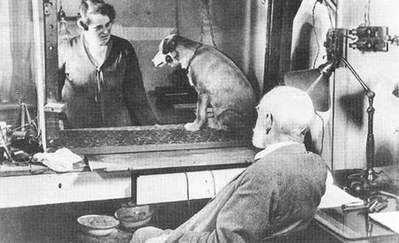 View - 	Nhà khoa học tạo ra cuộc cách mạng nhờ thí nghiệm trên chó