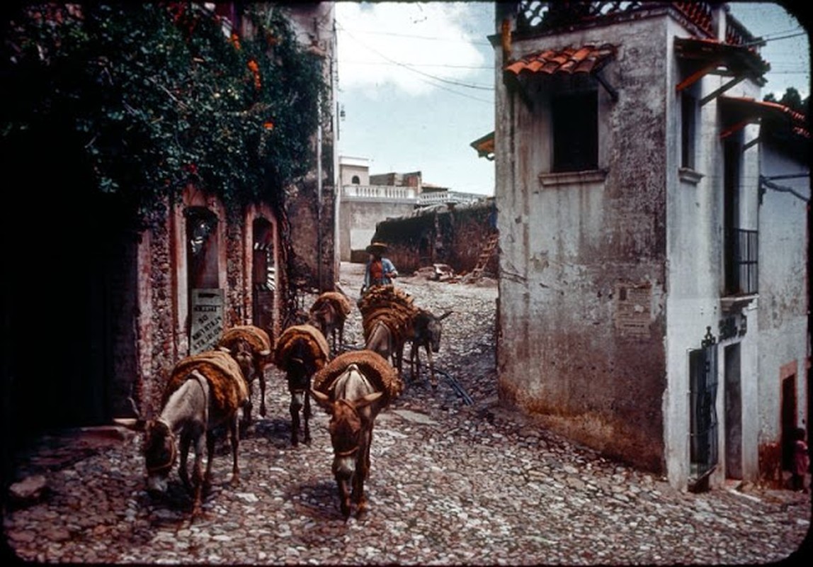 View - 	Bộ ảnh cuộc sống thanh bình ở Mexico đầu những năm 1950