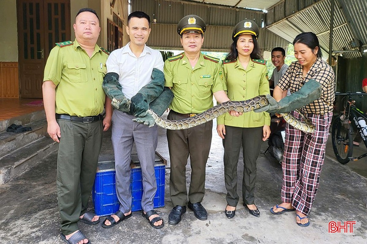 Di lam dong, nong dan Ha Tinh phat hien dong vat 'quy nhu vang'-Hinh-3