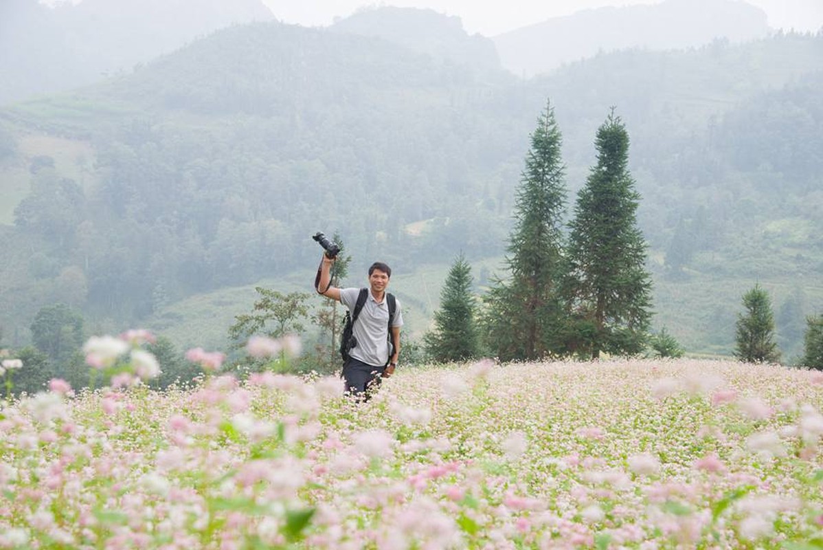 Ngam hoa tam giac mach no som o Bac Ha, Lao Cai-Hinh-6