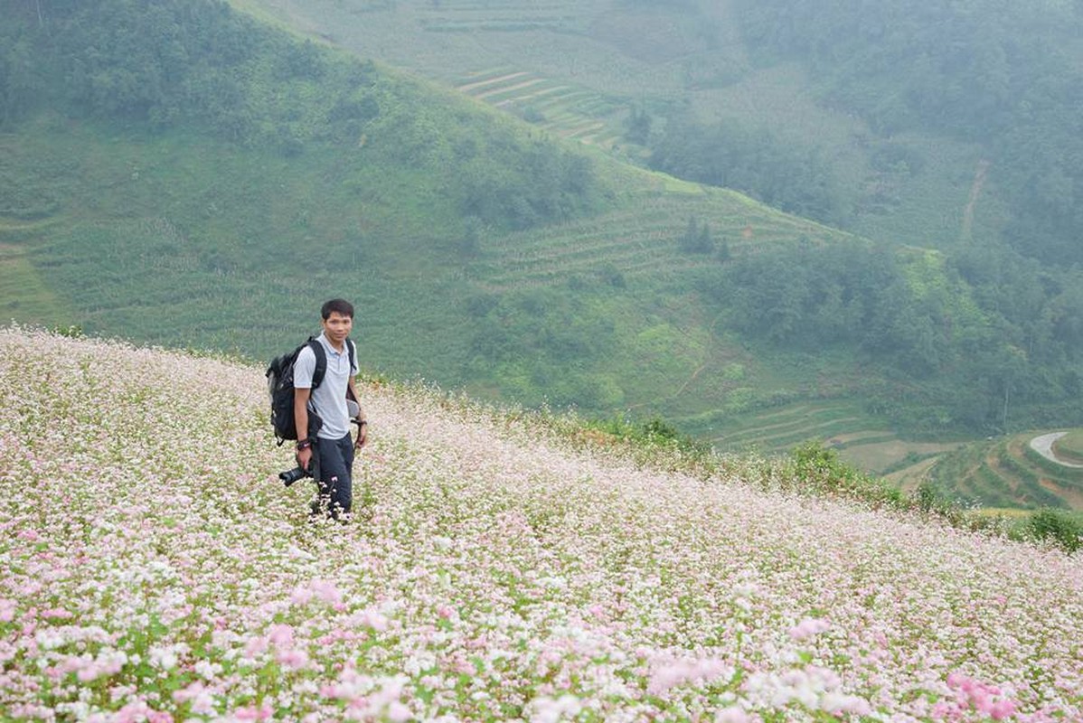 Ngam hoa tam giac mach no som o Bac Ha, Lao Cai-Hinh-9