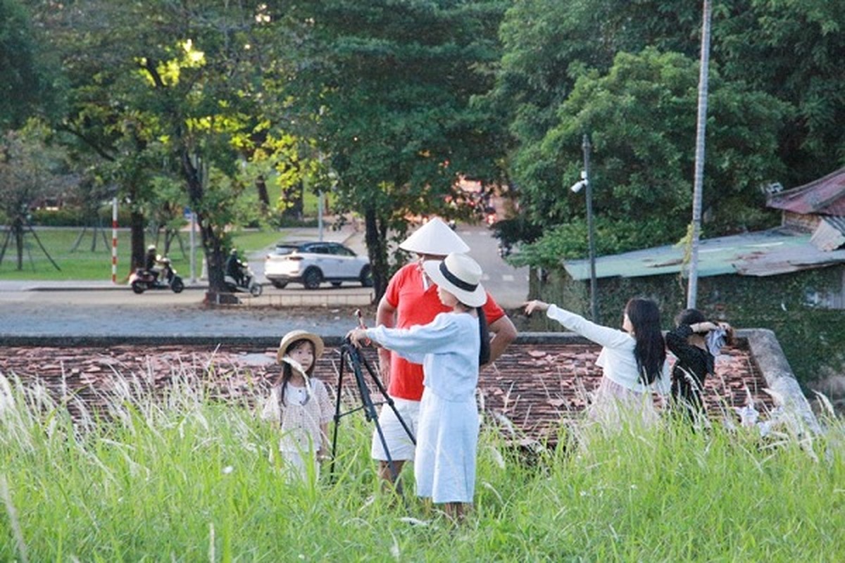 Mua hoa co lau dep nao long tren Thuong thanh Hue-Hinh-10