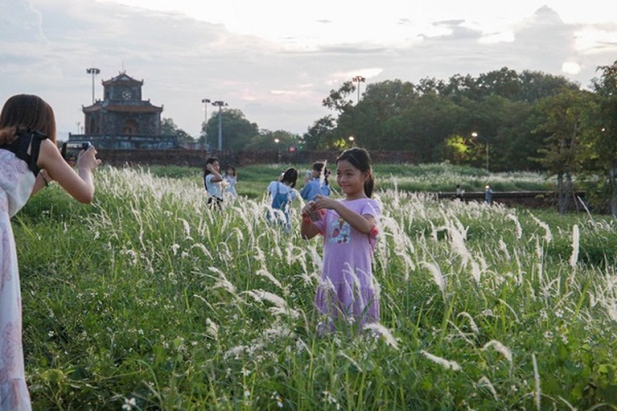 Mua hoa co lau dep nao long tren Thuong thanh Hue-Hinh-11