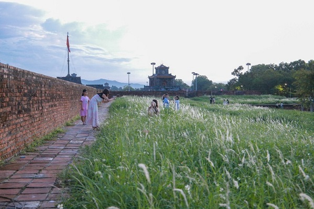 Mua hoa co lau dep nao long tren Thuong thanh Hue-Hinh-4