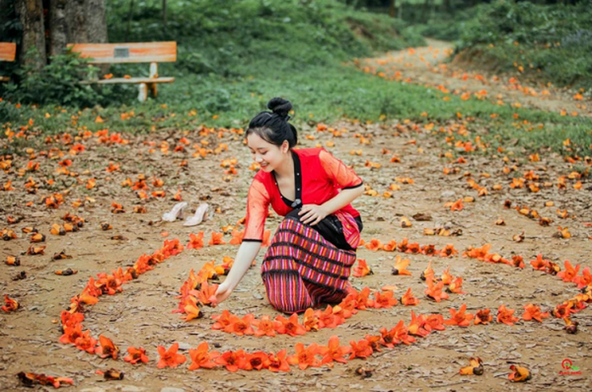 Xu Nghe dep nao long mua hoa gao thang Ba-Hinh-8