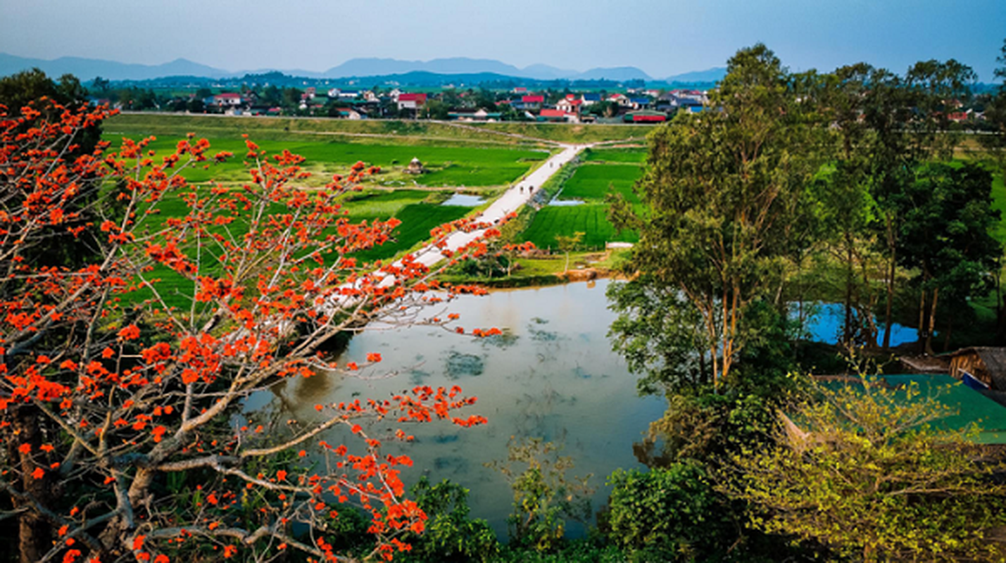 Xu Nghe dep nao long mua hoa gao thang Ba-Hinh-9