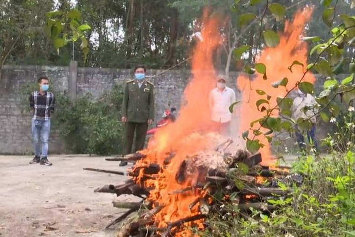 Tin nong 27/11: Giam doc buoc ngu dan va thuong lai phai nop phi “bao ke“-Hinh-9