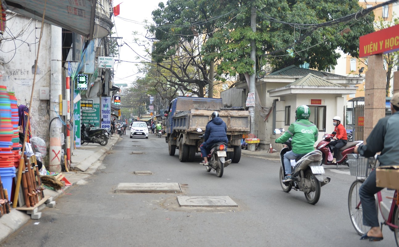 Ha Noi: Hang tram ho ga giang bay tuyen duong Dinh Cong Thuong-Hinh-10