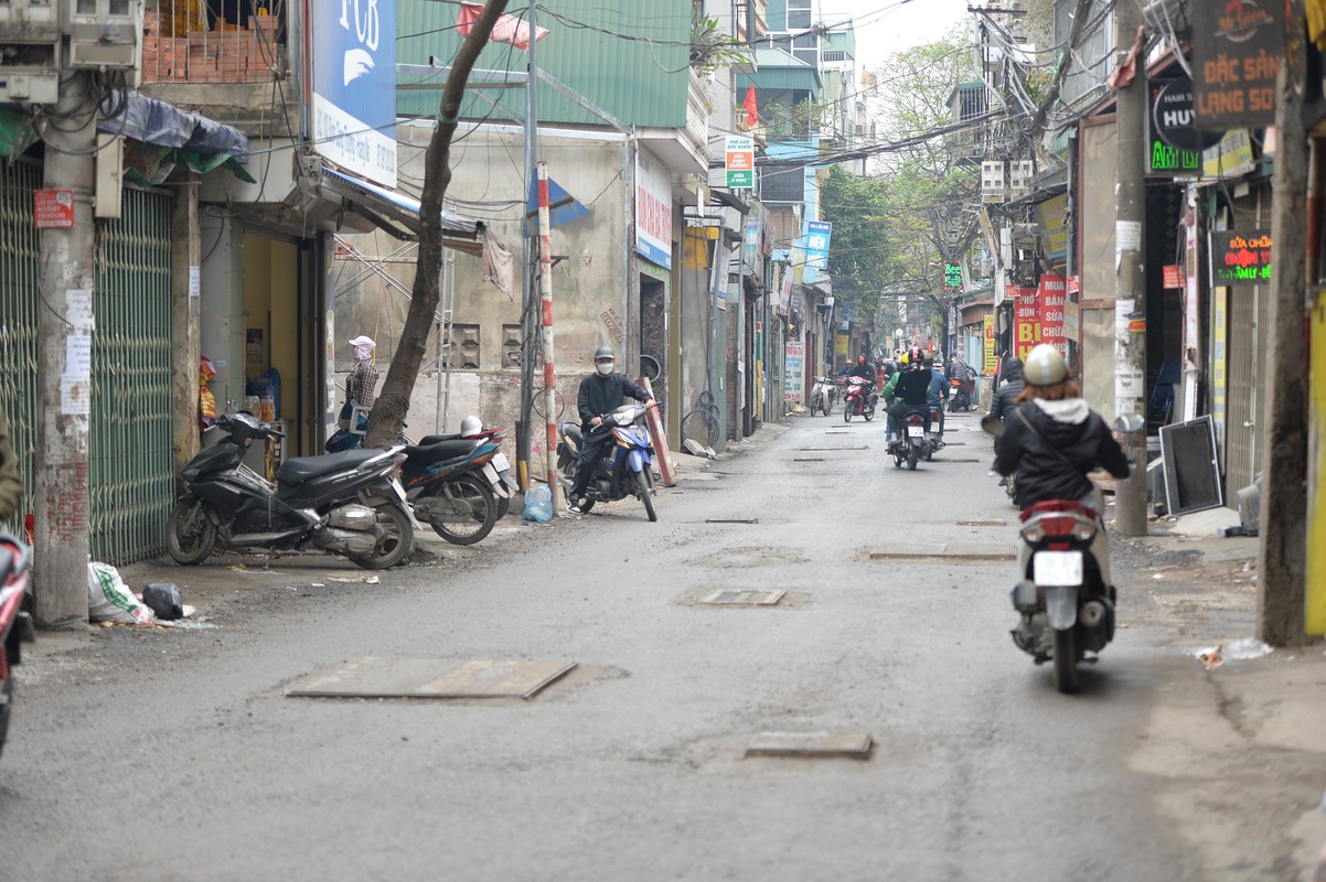 Ha Noi: Hang tram ho ga giang bay tuyen duong Dinh Cong Thuong-Hinh-6