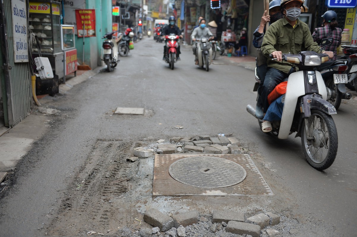 Ha Noi: Hang tram ho ga giang bay tuyen duong Dinh Cong Thuong-Hinh-7