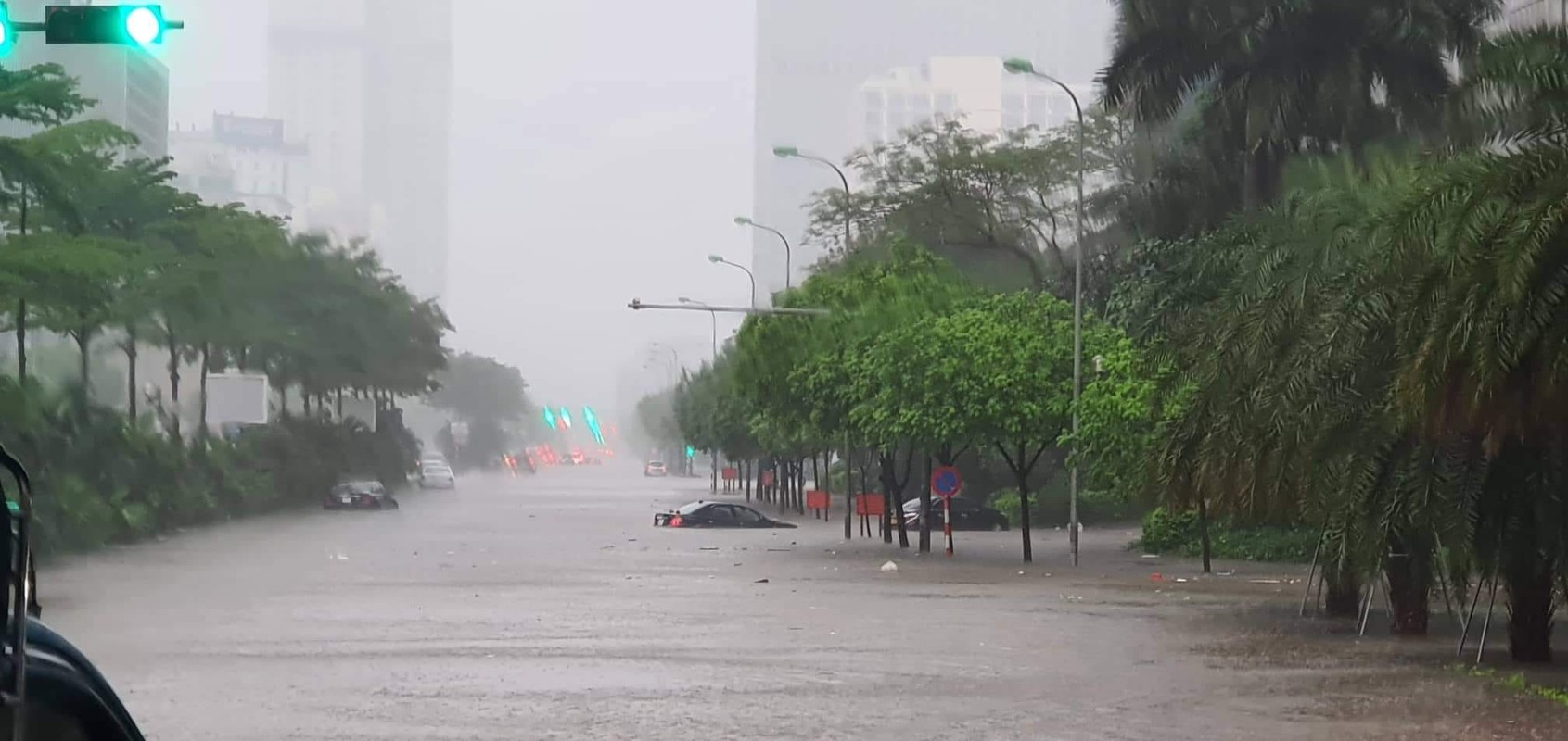 Dang long o to chim trong bien nuoc Ha Noi-Hinh-2