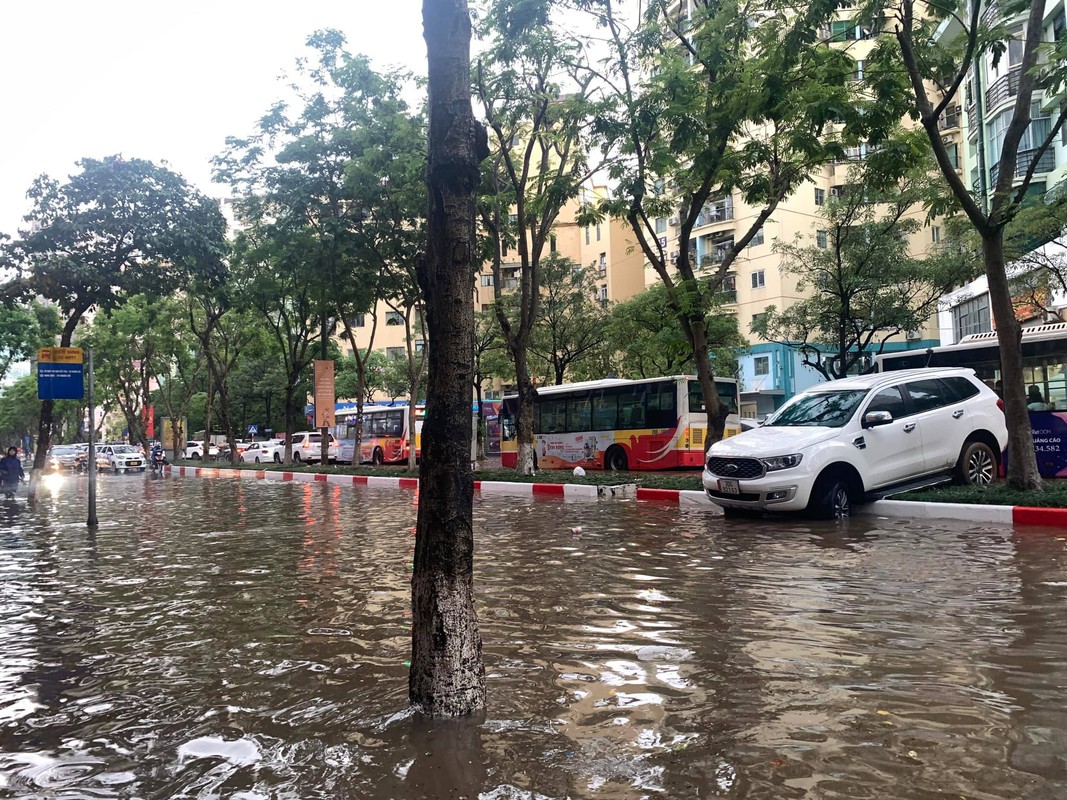 Dang long o to chim trong bien nuoc Ha Noi-Hinh-6