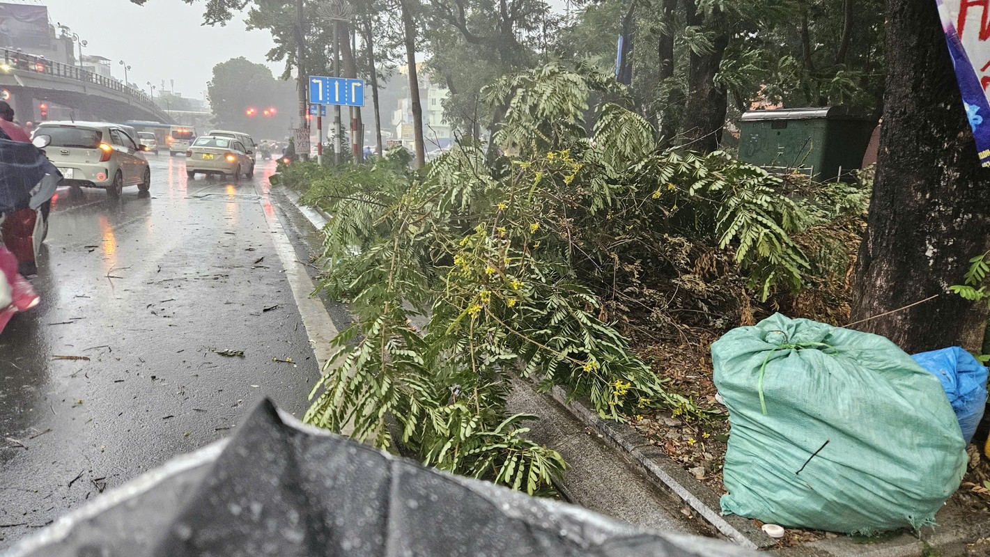 View - 	Bão số 3: Cây đổ, nhà sập, giao thông Hà Nội hỗn loạn