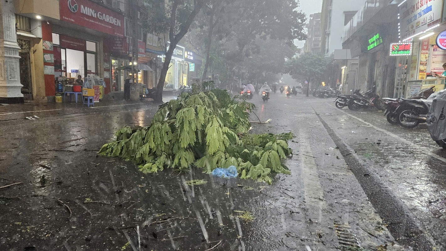 View - 	Bão số 3: Cây đổ, nhà sập, giao thông Hà Nội hỗn loạn