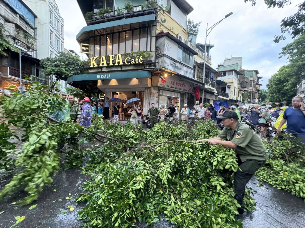 View - 	Bão số 3: Cây đổ, nhà sập, giao thông Hà Nội hỗn loạn