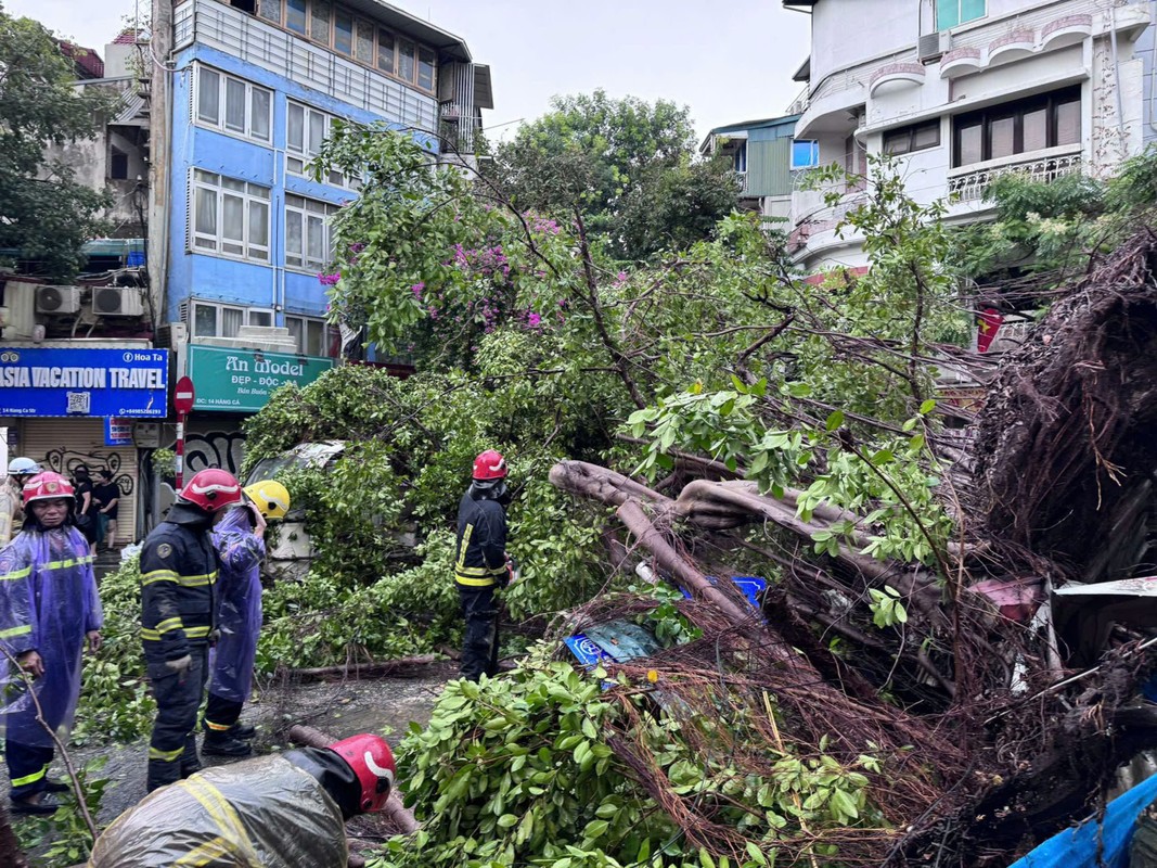 View - 	Bão số 3: Cây đổ, nhà sập, giao thông Hà Nội hỗn loạn