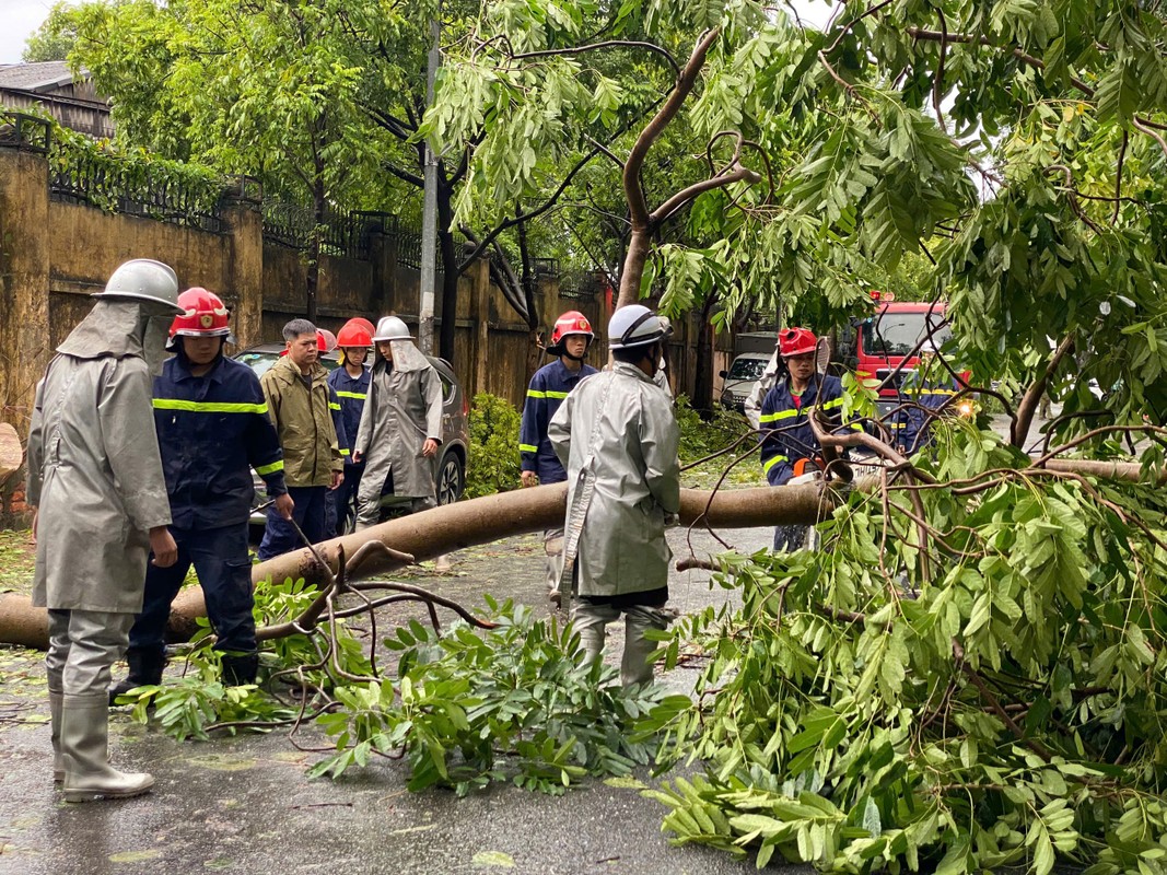 Bao so 3 Yagi di qua, duong pho Ha Noi ngon ngang-Hinh-3