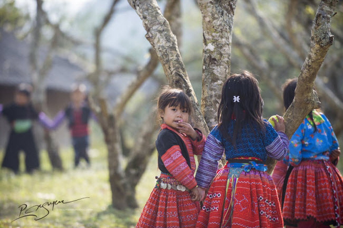 Den Moc Chau kham pha Tet cua nguoi Mong-Hinh-6