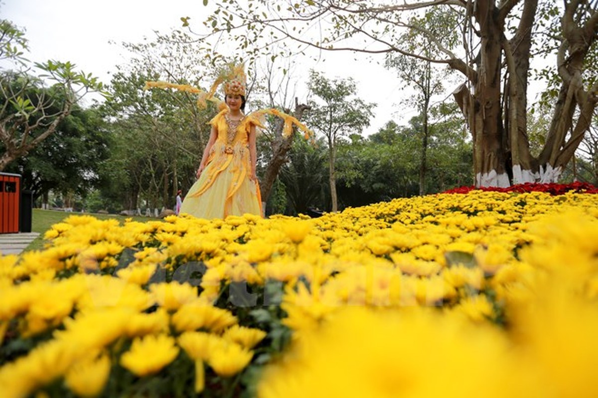 Can canh le hoi hoa xuan lon nhat Tet 2017 o Ha Noi-Hinh-8