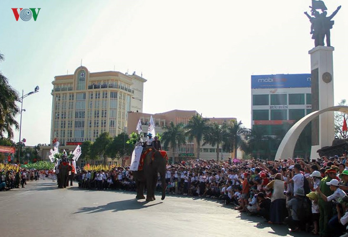 Anh voi dieu hanh tren duong pho Buon Ma Thuot