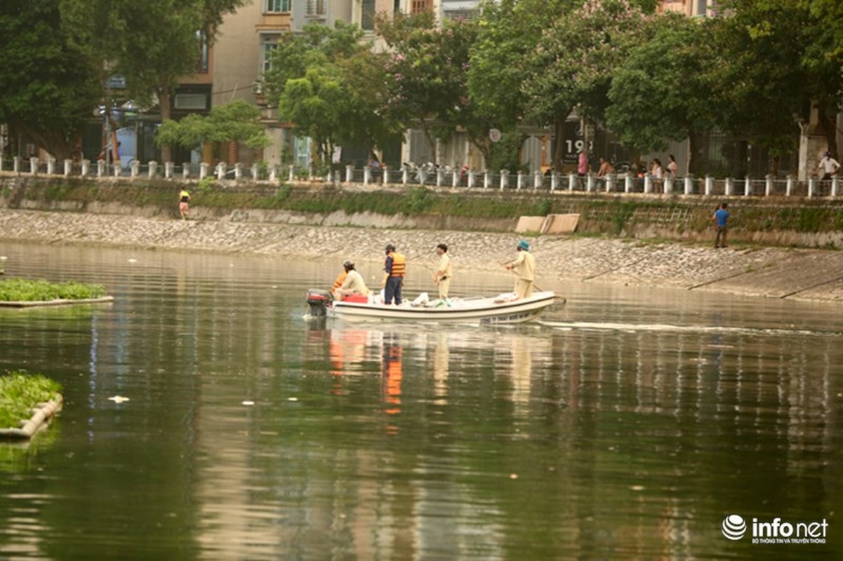 Ha Noi: Sau dung 1 nam, ca lai chet trang mat ho Hoang Cau-Hinh-4