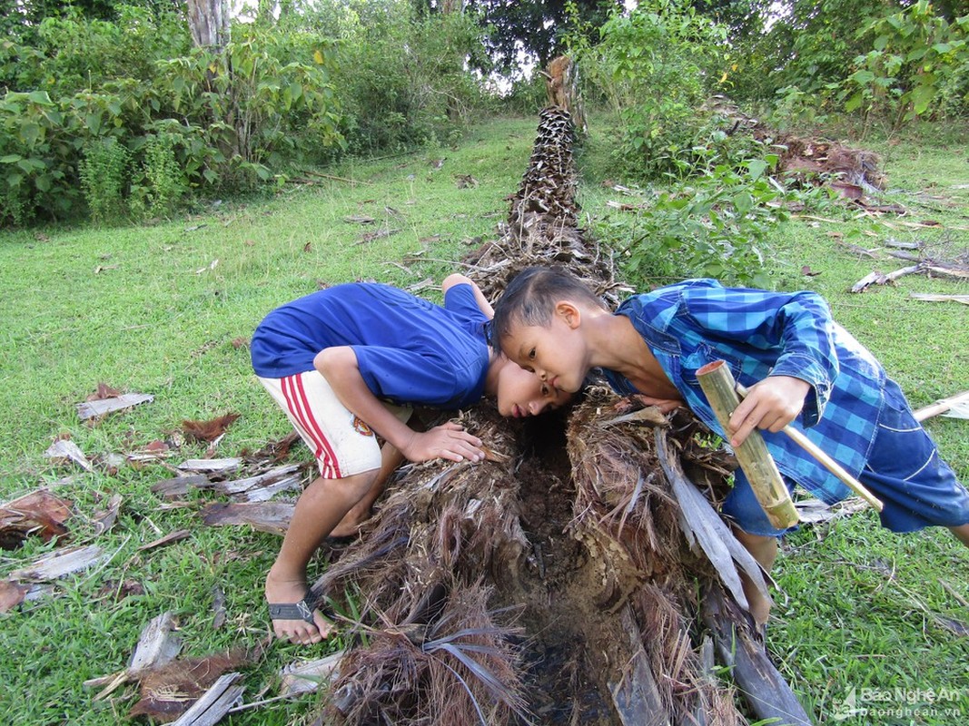 Khong chi ve ngoai nhin ghe, duong co khien nguoi an ngo doc nang-Hinh-3