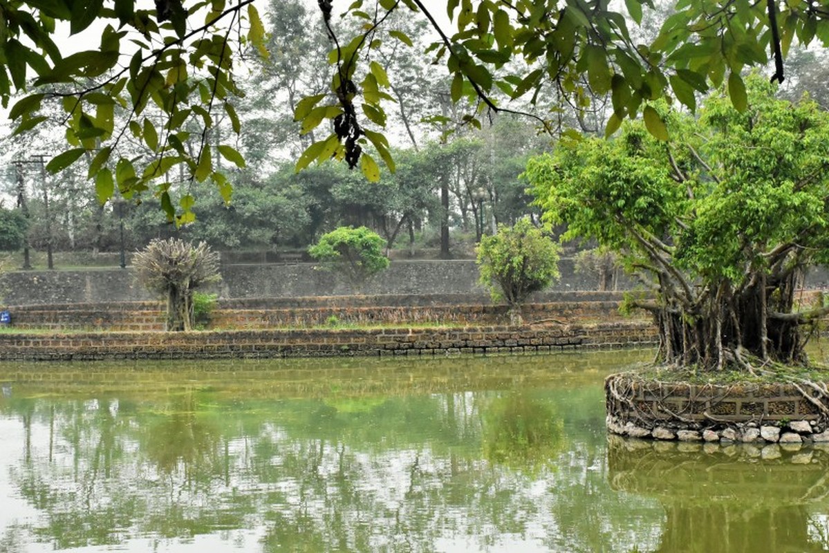 Vi sao Thanh Co Loa duoc chuyen gia danh gia 