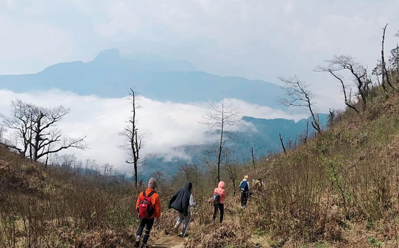 Sung sot ve ma mi cua nui Lao Than cao 2860m-Hinh-2