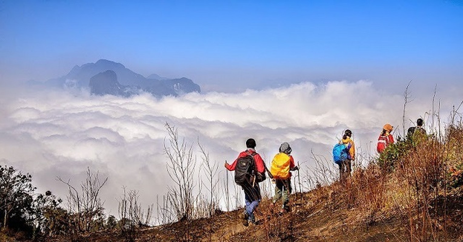 Sung sot ve ma mi cua nui Lao Than cao 2860m-Hinh-9