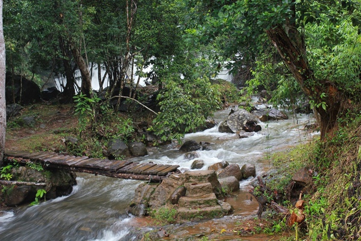 Giai ma canh tien huyen ao sau ngoi chua noi tieng Lam Dong-Hinh-5