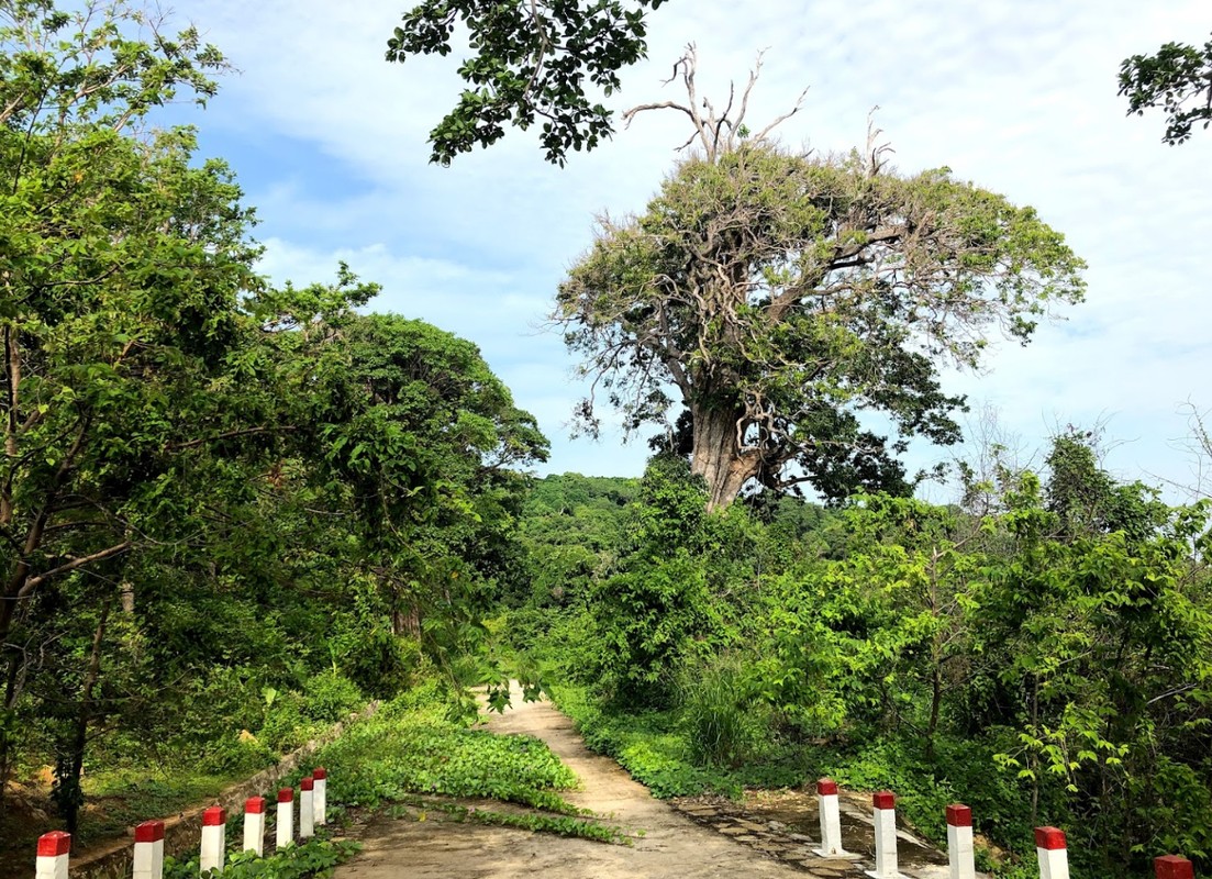 Chiem nguong ve dep ma mi cua tac ke duoi vang doc nhat VN-Hinh-12