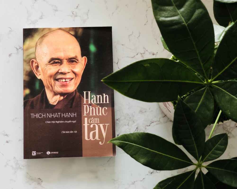 Thien su Thich Nhat Hanh: Tam khong an, moi thu deu vo nghia-Hinh-3