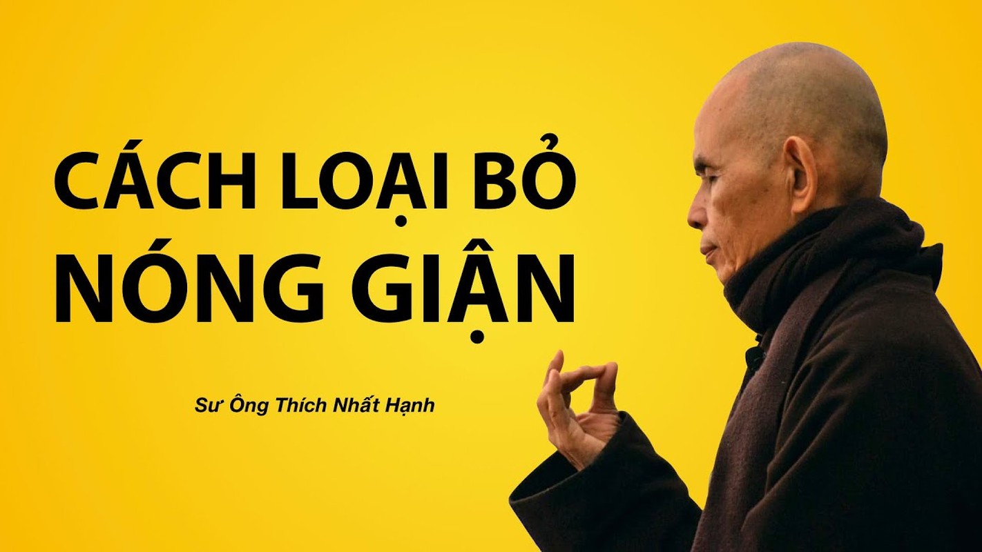 Thien su Thich Nhat Hanh: Dung de “Gian” thieu dot ban than-Hinh-12
