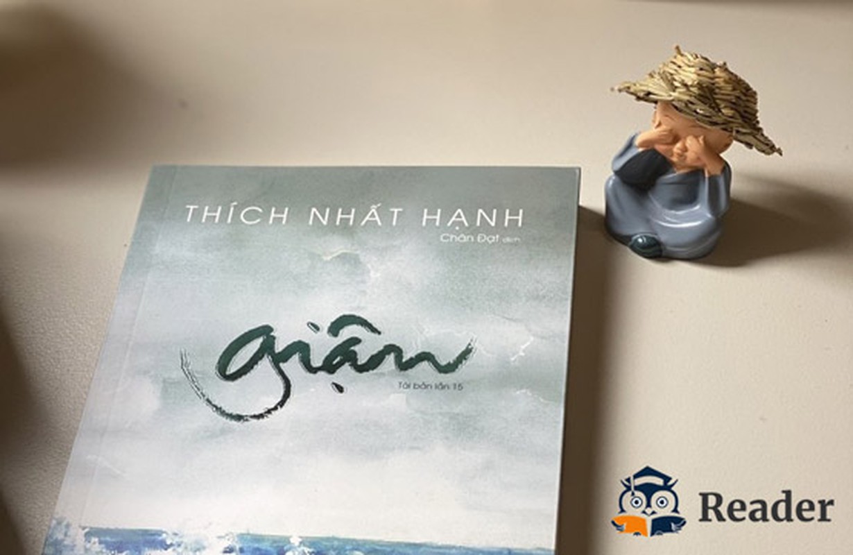 Thien su Thich Nhat Hanh: Dung de “Gian” thieu dot ban than-Hinh-8