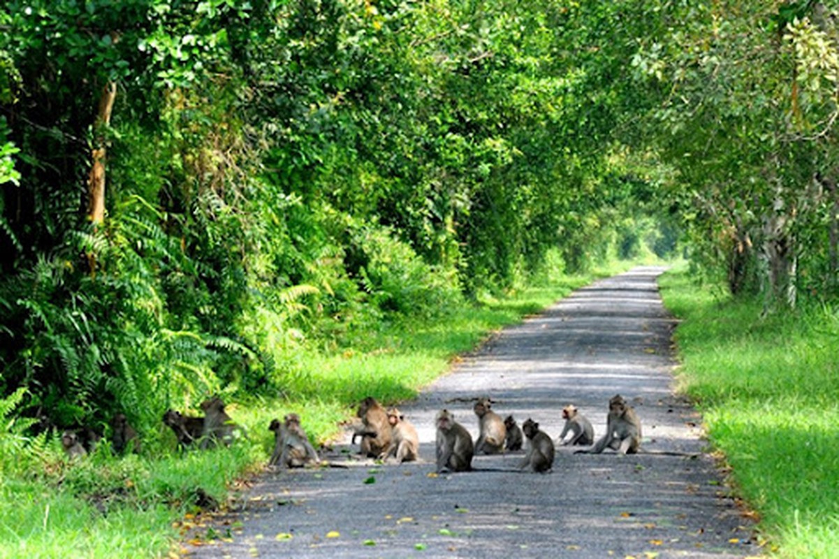 8 vung dat ngap nuoc ky la nhat VN, the gioi khat khao muon co (2)-Hinh-11