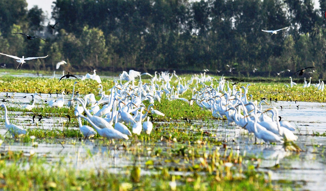 8 vung dat ngap nuoc ky la nhat VN, the gioi khat khao muon co (2)-Hinh-7