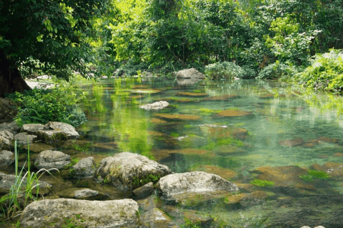 Bau vat troi ban o VQG Xuan Son, nghe thoi da thay thich me-Hinh-10